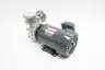 NIKUNI 20UPD04Z SELF PRIMING PUMP 30MM X 18MM 0.4KW 200/220V-AC thumbnail 4