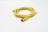 LUMBERG RST 4-RKT 4-643/2M CORDSET CABLE thumbnail 3