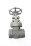 BONNEY FORGE 057504-024 MANUAL IRON WEDGE GATE VALVE 2IN NPT 800 thumbnail 1