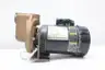 TEEL 2P3735 CENTRIFUGAL PUMP 3/4HP 230V-AC thumbnail 4