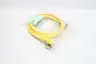 BRAD CONNECTIVITY 1300080212 PVC CABLE 12P FEMALE 90 DEGREE 16/12 AWG 6FT thumbnail 3