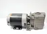 TEEL 1P953 CENTRIFUGAL PUMP 1HP 200-230V-AC 460V-AC thumbnail 2