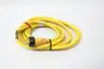 WOODHEAD 32639 QUICK CHANGE FEMALE CORDSET 4P 12FT 600V-AC thumbnail 2