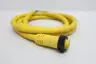 DANIEL WOODHEAD 42802+ MINI-CHANGE CONNECTOR CORDSET thumbnail 2