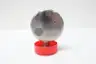 ANDERSON NEGELE EL982010051111A0000 PRESSURE GAUGE 0-600PSI thumbnail 3