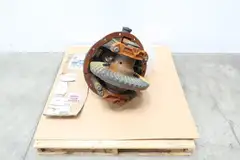 DANA SPICER D170DP478CF CORE FREE CARRIER