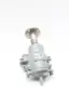 PROTECTOSEAL F832H END-OF-LINE CONSERVATION VENT AND FLAM ARRESTER 2IN thumbnail 3