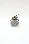 ORIENTAL MOTOR 4RK25RGN-A SPEED CONTROL MOTOR 0.8A AMP 25W 100V-AC