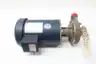 PRICE PUMP C80143 CENTRIFUGAL PUMP 1-1/4IN X 1IN 2HP 575V-AC STAINLESS thumbnail 1