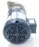 PRICE PUMP CD100SS-494-21214Y-200-36-3T6 CENTRIFUGAL PUMP 2HP 575V-AC thumbnail 3