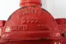 MUELLER A-373 FIRE HOSE GATE VALVE 2-1/2IN thumbnail 6