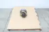 WITTENSTEIN ALPHA RP 050S-MA2-38.5-3K1-2S PLANETARY GEARBOX 38.5:1 thumbnail 1