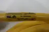 WOODHEAD 1300120431 339021A01F500 9P MALE/FEMALE ST/90 16/9AWG PVC CORD 50FT thumbnail 4