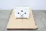 ACRISON 402X-1500-300-BDF-1.5-HH/2 WEIGHT-LOSS-DIFFERENTIAL FEEDER GEAR DRIVE thumbnail 1