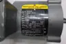 STEARNS 104816101BP BRAKE MOTOR 0.33HP 1725RPM 3PH 56C 208-230/460V-AC 3LB-FT thumbnail 5