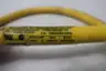WOODHEAD 106002A01F060 CORDSET CABLE thumbnail 6