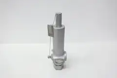 ANDERSON GREENWOOD 83CF68-4 IRON RELIEF VALVE 3/4IN X 1IN NPT 4640PSI