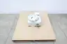 ZAE E 125 F 0-900-01-301-9 RIGHT ANGLE WORM GEAR DRIVE SPEED REDUCER 10:1 thumbnail 1