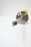 FCI FLT93S-1A1A4F6D1DC0B11 FLOW SWITCH 115/220V-AC 24V-DC thumbnail 3