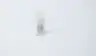 SCOTT 40011528 FRAGILE FILAMENT SAFETY GAS SENSOR thumbnail 2