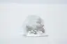 FALK 0706746 STEELFLEX 1090T20 COVER thumbnail 4