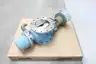 DEZURIK PPE 771 STAINLESS PRECISION BASIS WEIGHT CONTROL VALVE 10IN 150 thumbnail 3