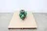 NASH SC-2 LIQUID RING VACUUM COMPRESSOR PUMP thumbnail 1