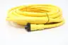 ALLEN BRADLEY 889N-F4AF-30F MINI CABLE  4-PIN STRAIGHT 30FT thumbnail 2