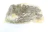GOLDSPEC GS 100 RIV ROLLER CHAIN 10FT thumbnail 2