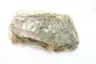 GOLDSPEC GS 100 RIV ROLLER CHAIN 10FT thumbnail 3