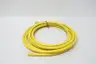 LUMBERG RK60B-696 CORDSET CABLE 20FT thumbnail 3