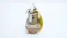 WATTS M3 174A 174A-075 BRONZE THREADED SAFETY RELIEF VALVE 75PSI 3/4IN NPT thumbnail 4