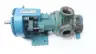 VIKING PUMP HL124A CAST IRON GEAR PUMP 1-1/2IN NPT thumbnail 2