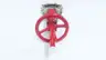 NA NA MANUAL STAINLESS LUGGED KNIFE GATE VALVE 6IN 150 thumbnail 2