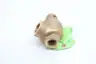 APOLLO RVW60 10-604 BRONZE HOT WATER RELIEF VALVE 100PSI 3/4IN NPT thumbnail 4