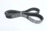 MEGADYNE 1568PLT14 PLATINUM TIMING BELT 1568MM 14MM 35MM thumbnail 2
