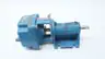 BURKS ES6MV-HT BRONZE FITTED CAST IRON TURBINE PUMP 1IN 1-1/4IN thumbnail 2