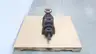 TRANSAMERICA DELAVAL A3DKH 275 HYDRAULIC SCREW PUMP thumbnail 2