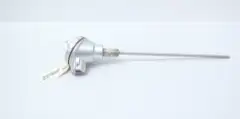 INTEMPCO TJ50-250-1G-A-D12S-WA2-11.5 RTD 12IN 1/4IN