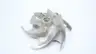 GOULDS 3175 M 6-VANE PUMP IMPELLER 15-5/16IN thumbnail 2