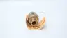 CONBRACO 13-101-06 RELIEF VALVE 372LBS/HR 10PSI 3/4IN thumbnail 2