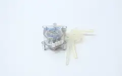 COLE-PARMER 7021-24 MASTERFLEX QUICK LOAD PERISTALTIC PUMP HEAD