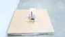ADVANCE DP15-SEEIEI-10-DA-32PN STEEL FLANGED DUAL PLATE CHECK VALVE 10IN 150 thumbnail 2