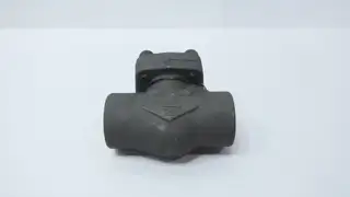 OMB 850 STEEL CHECK VALVE 2IN NPT 800