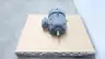 SIEMENS RGZZ AC MOTOR 256U 15HP 3520RPM 460V-AC 3PH thumbnail 3