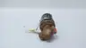 MAGNATROL F18A42 SOLENOID VALVE 120V-DC 1/2IN NPT thumbnail 1