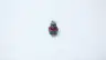 KOSMEK BZL0101-A SPEED CONTROL VALVE 1/8IN MNPT 7MPA thumbnail 2