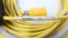PILZ PSEN 1.1P-25 PSEN 1.1-20 PROXIMITY SWITCH W/ 889P-F4AB-10 CABLE 30V-DC thumbnail 5