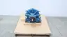 CANADA PUMP 3SA STAINLESS SPLIT CASE PUMP 3X4-13.5 thumbnail 1