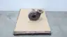 AURORA 344A 3X4X9B IRON CENTRIFUGAL PUMP 420GPM 69.7FT thumbnail 1